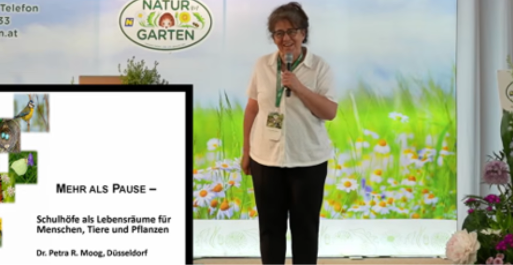 Dr. Petra Regina Moog steht mit einem Mikrofon vor dem Publikum und referiert zu dem Thema "Mehr als Pause". Dieser Satz ist mit dem Untertitel "Schulhöfe als Lebensräume für Menschen, Tiere und Pflanzen" unten links eingeblendet. Foto: Stefanie Weber